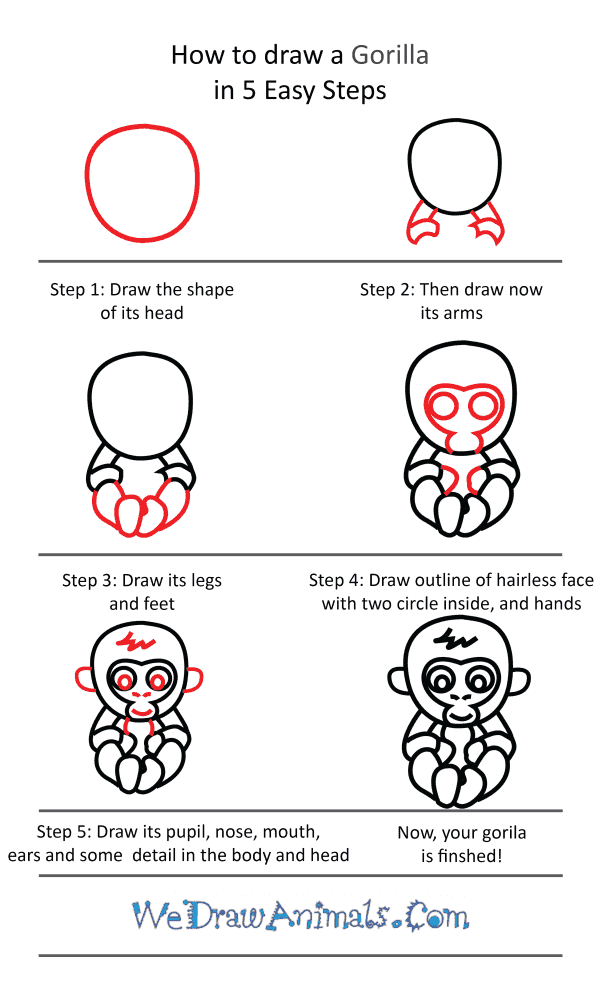 How to Draw a Cute Gorilla - Step-by-Step Tutorial