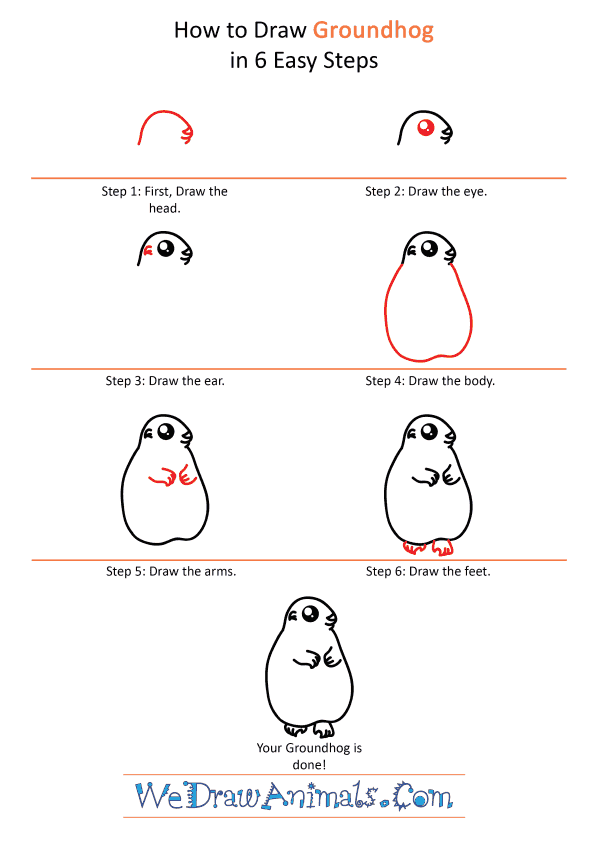 How to Draw a Cute Groundhog - Step-by-Step Tutorial