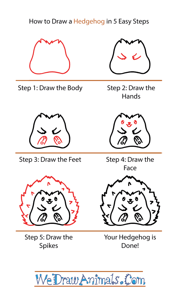 How to Draw a Cute Hedgehog - Step-by-Step Tutorial