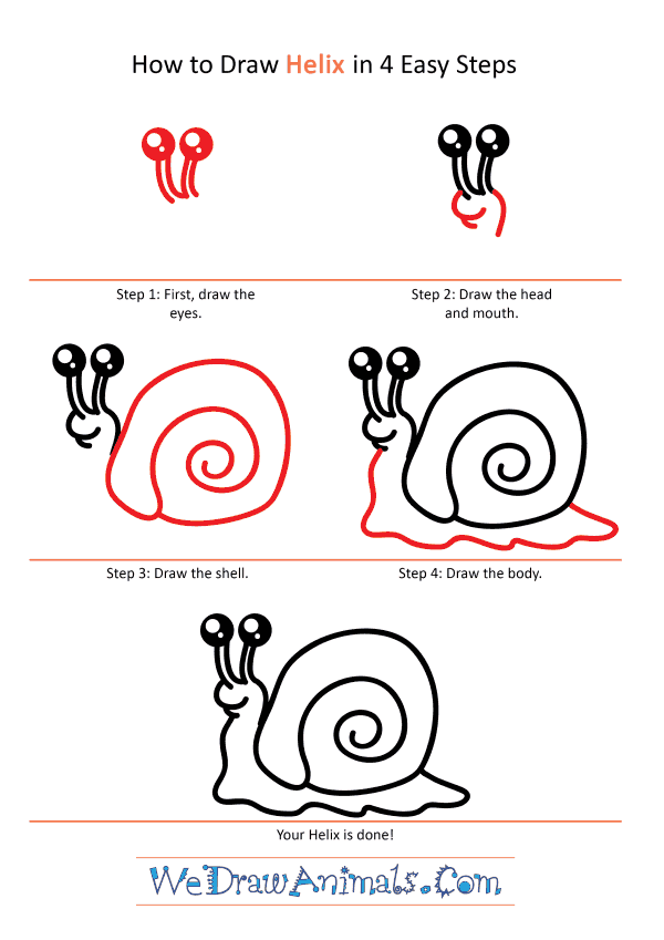 How to Draw a Cute Helix - Step-by-Step Tutorial
