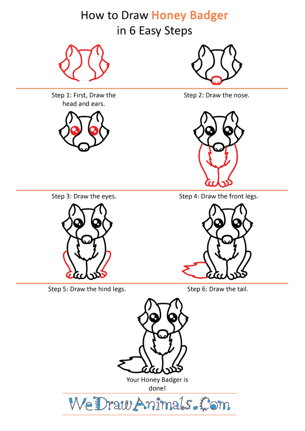 How to Draw a Cute Honey Badger - Step-by-Step Tutorial