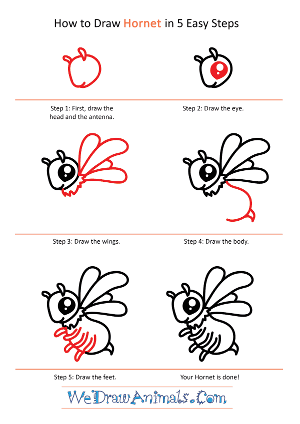 How to Draw a Cute Hornet - Step-by-Step Tutorial