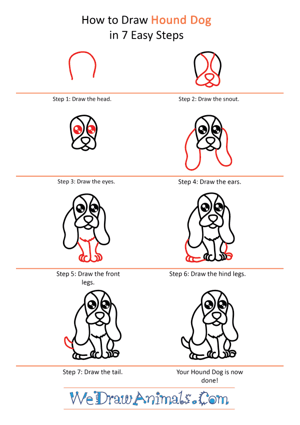 How to Draw a Cute Hound Dog - Step-by-Step Tutorial