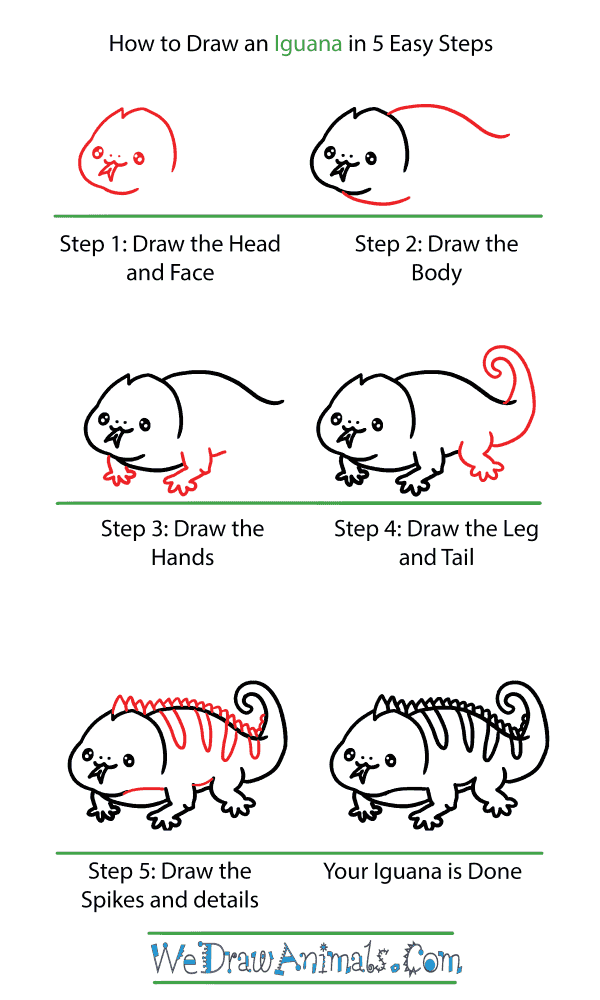How to Draw a Cute Iguana - Step-by-Step Tutorial