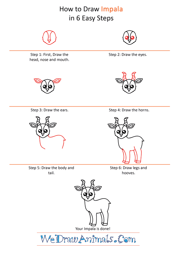 How to Draw a Cute Impala - Step-by-Step Tutorial