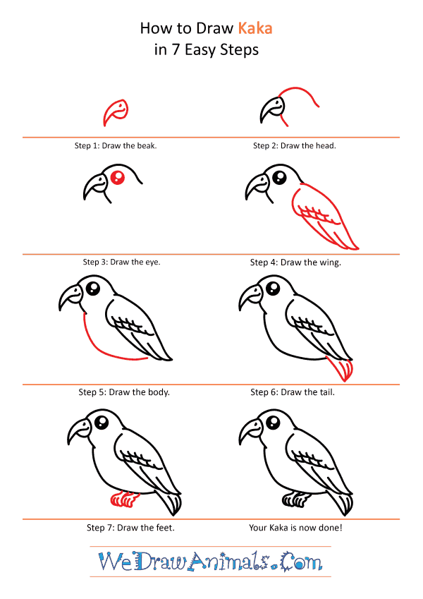 How to Draw a Cute Kaka - Step-by-Step Tutorial