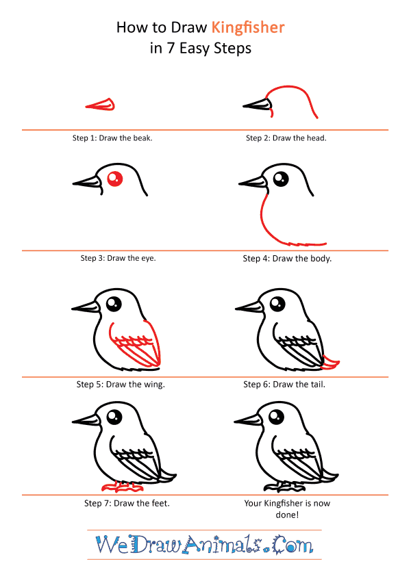 How to Draw a Cute Kingfisher - Step-by-Step Tutorial