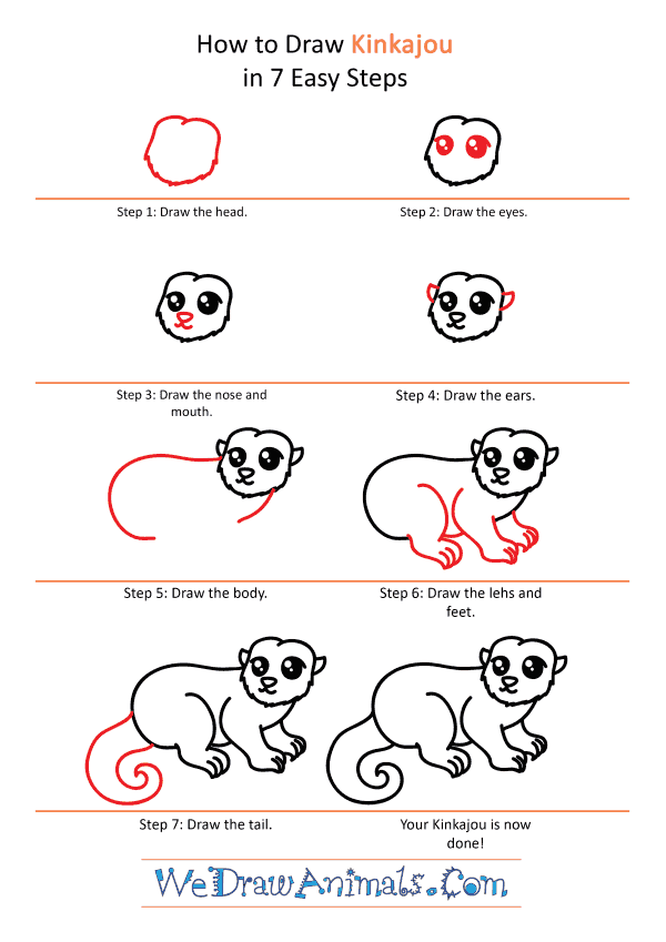 How to Draw a Cute Kinkajou - Step-by-Step Tutorial