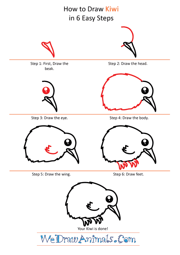 How to Draw a Cute Kiwi - Step-by-Step Tutorial