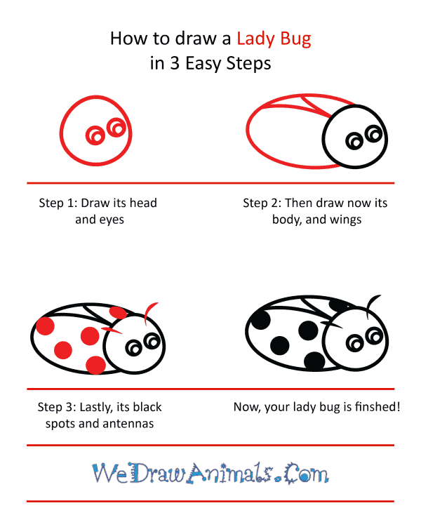How to Draw a Cute Ladybug - Step-by-Step Tutorial