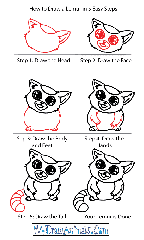 How to Draw a Cute Lemur - Step-by-Step Tutorial