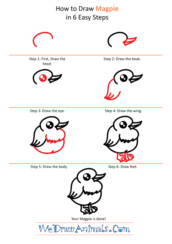 How to Draw a Cute Magpie - Step-by-Step Tutorial