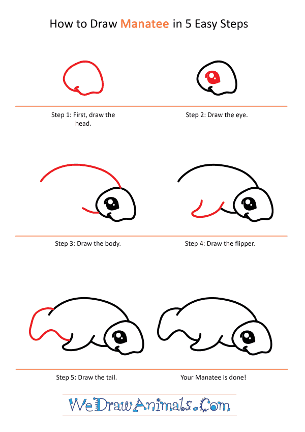 How to Draw a Cute Manatee - Step-by-Step Tutorial