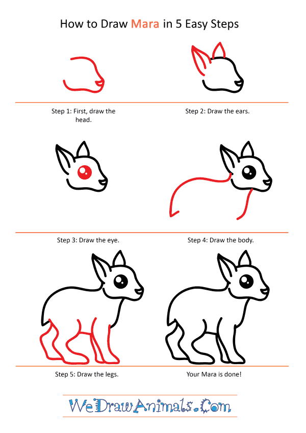 How to Draw a Cute Mara - Step-by-Step Tutorial