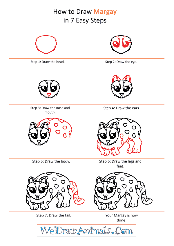 How to Draw a Cute Margay - Step-by-Step Tutorial