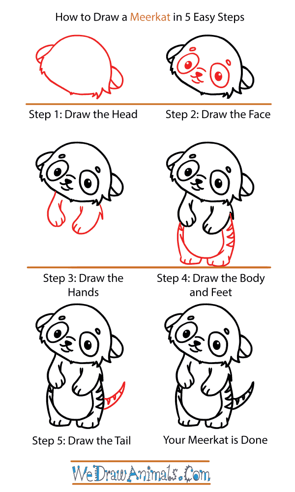 How to Draw a Cute Meerkat - Step-by-Step Tutorial