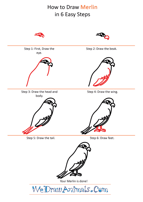 How to Draw a Cute Merlin - Step-by-Step Tutorial