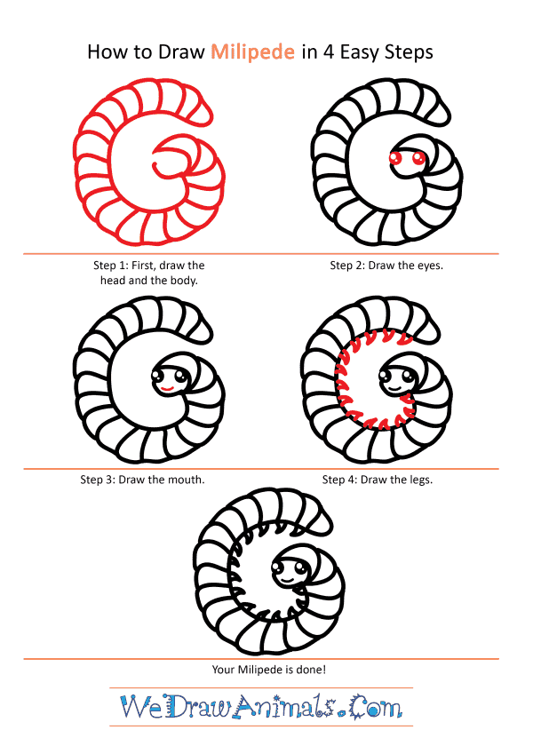 How to Draw a Cute Millipede - Step-by-Step Tutorial