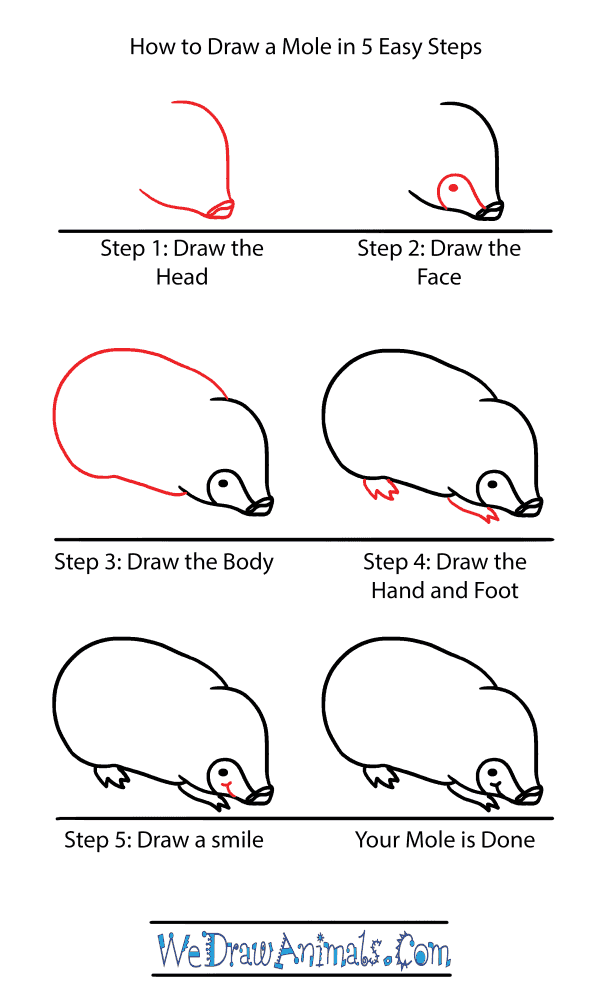 How to Draw a Cute Mole - Step-by-Step Tutorial