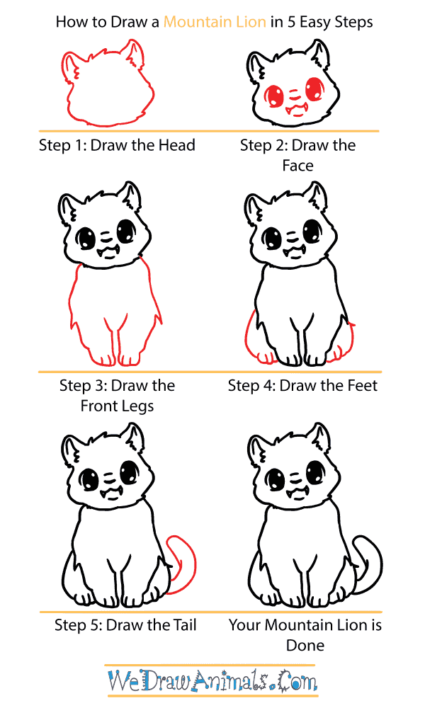 How to Draw a Cute Mountain Lion - Step-by-Step Tutorial