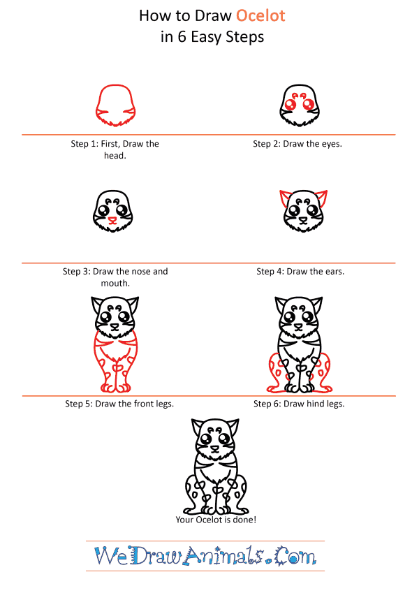 How to Draw a Cute Ocelot - Step-by-Step Tutorial