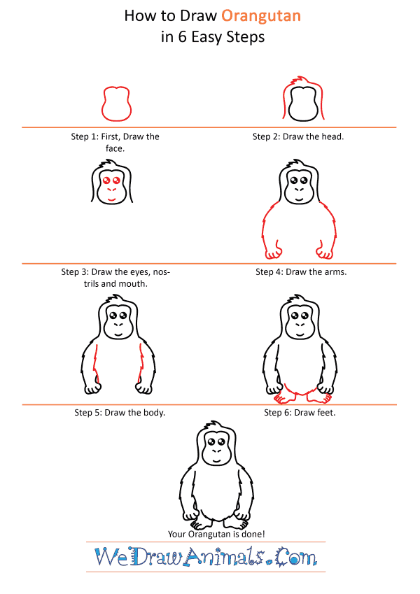 How to Draw a Cute Orangutan - Step-by-Step Tutorial