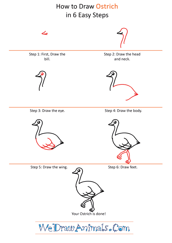 How to Draw a Cute Ostrich - Step-by-Step Tutorial