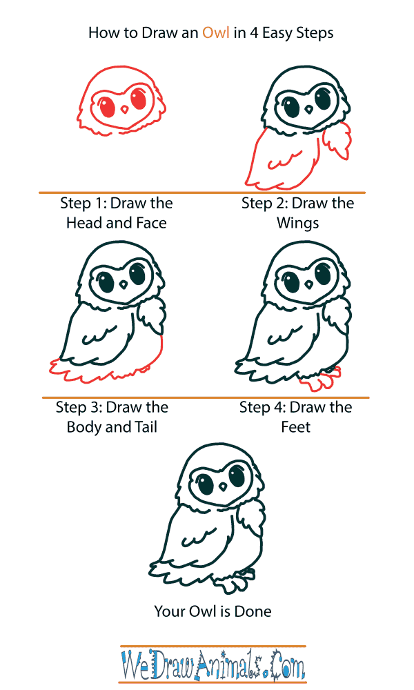 How to Draw a Cute Owl - Step-by-Step Tutorial