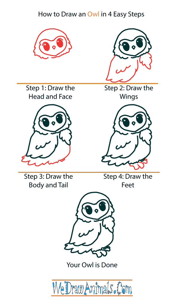 how to draw a cartoon owl step by step for kids