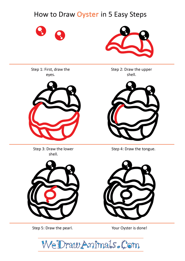 How to Draw a Cute Oyster - Step-by-Step Tutorial