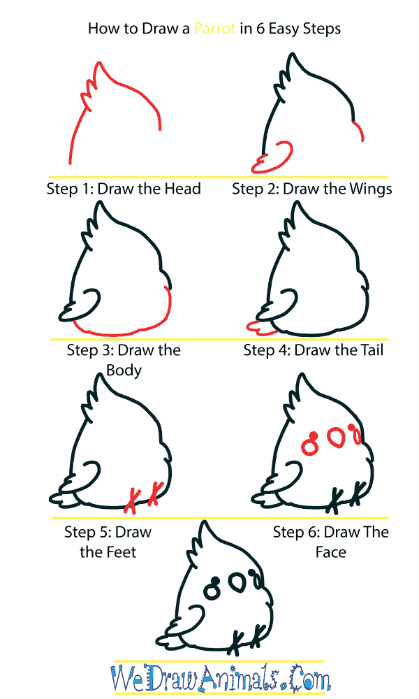 How to Draw a Cute Parrot - Step-by-Step Tutorial
