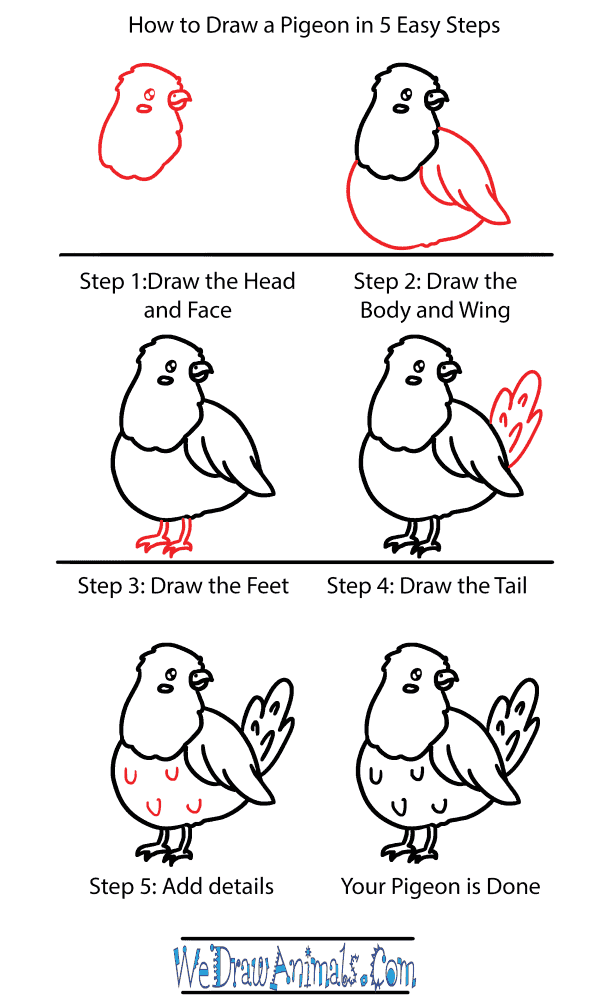 How to Draw a Cute Pigeon - Step-by-Step Tutorial