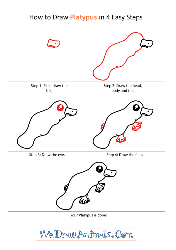 How to Draw a Cute Platypus - Step-by-Step Tutorial