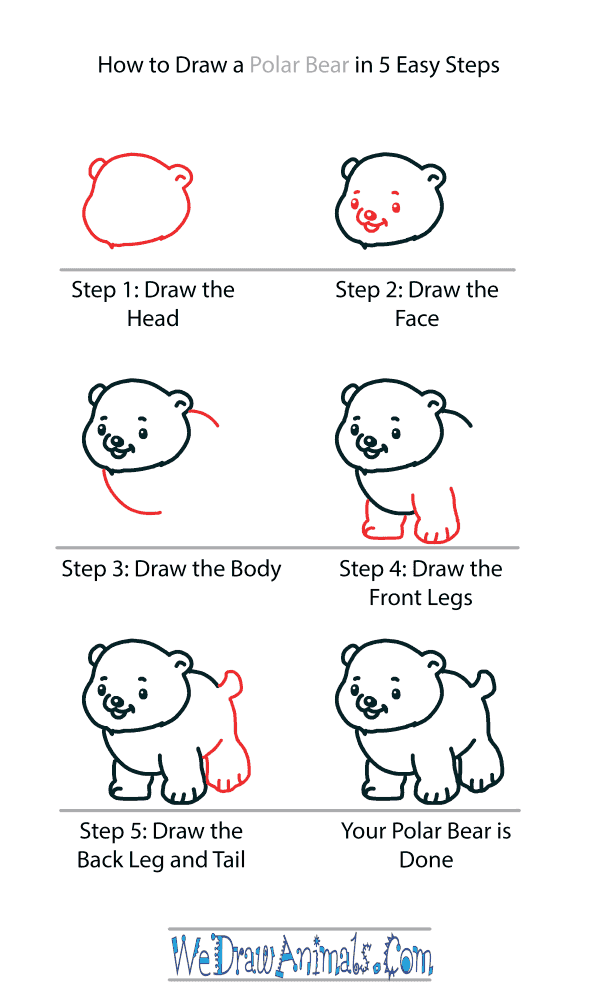 How to Draw a Cute Polar Bear - Step-by-Step Tutorial