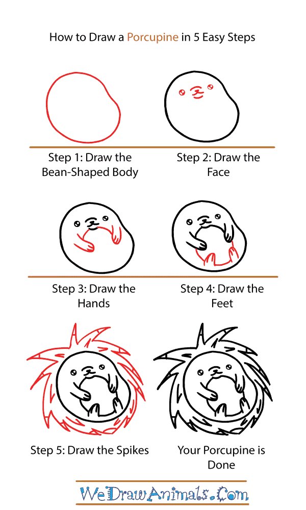How to Draw a Cute Porcupine - Step-by-Step Tutorial