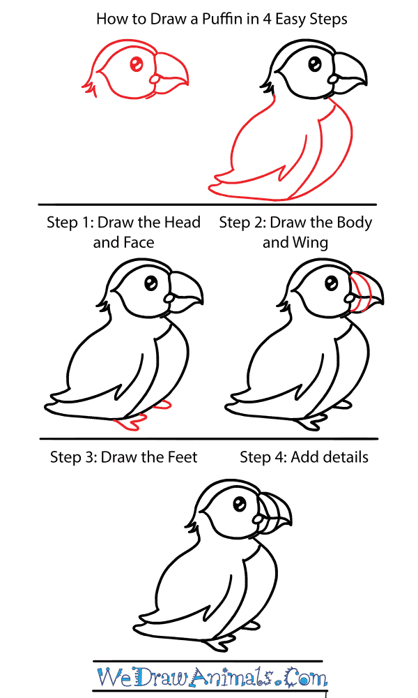 How to Draw a Cute Puffin - Step-by-Step Tutorial