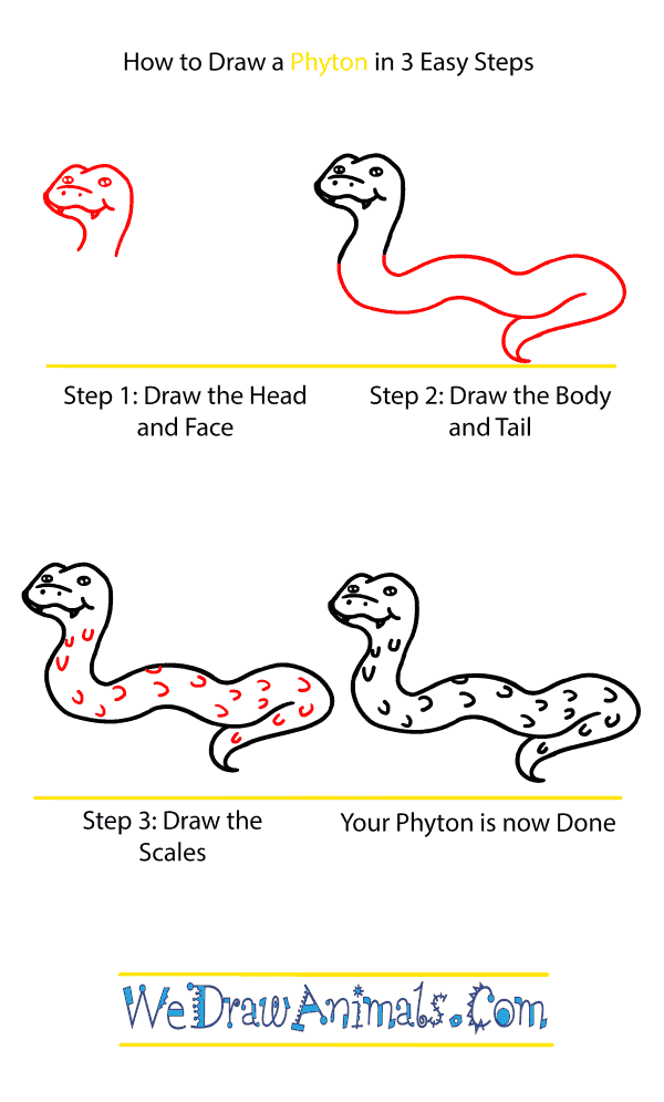 How to Draw a Cute Python - Step-by-Step Tutorial