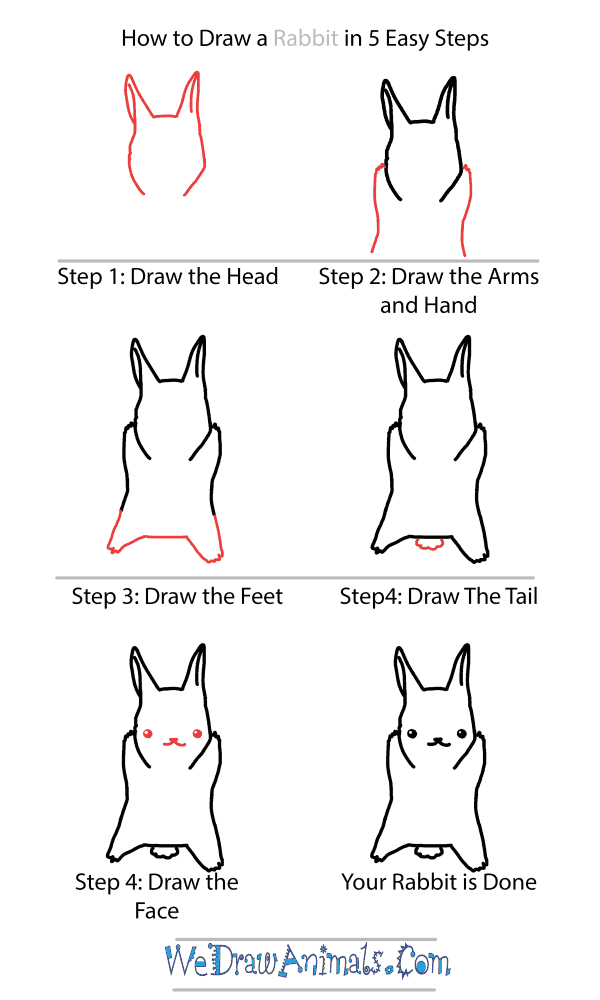 How to Draw a Cute Rabbit - Step-by-Step Tutorial