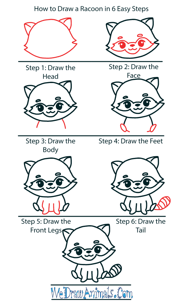 How to Draw a Cute Raccoon - Step-by-Step Tutorial
