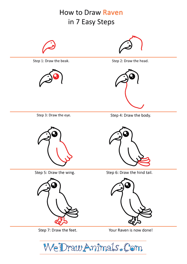 How to Draw a Cute Raven - Step-by-Step Tutorial