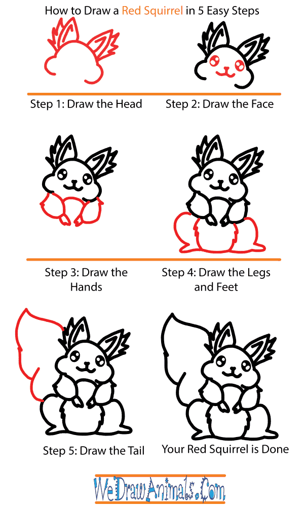 How to Draw a Cute Red Squirrel - Step-by-Step Tutorial