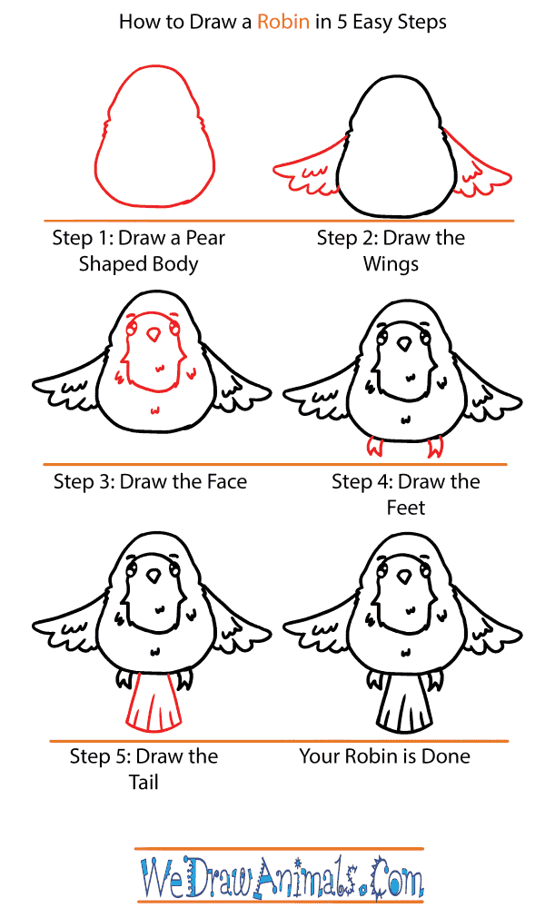 How to Draw a Cute Robin - Step-by-Step Tutorial