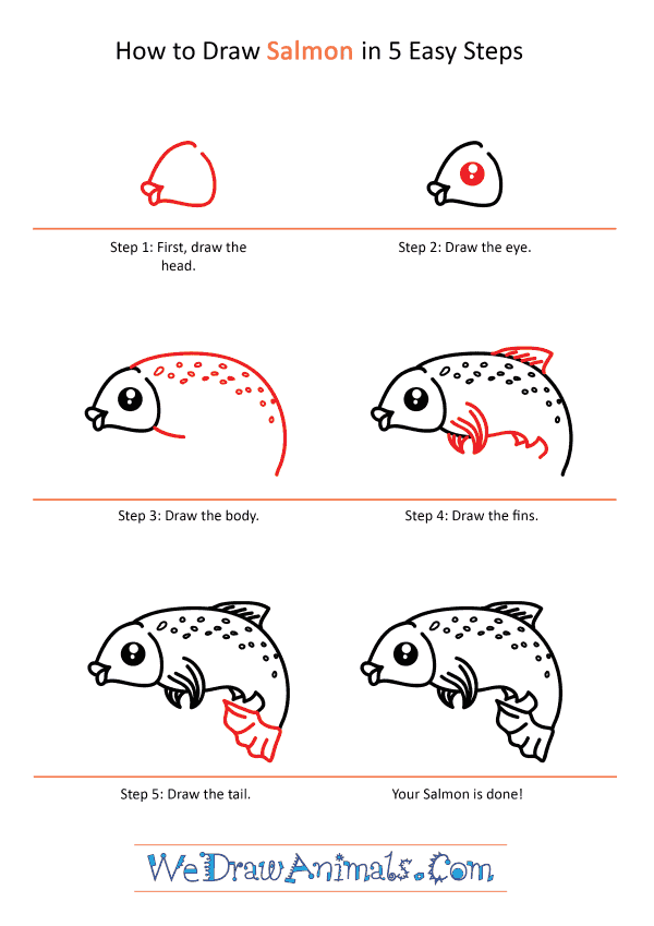 How to Draw a Cute Salmon - Step-by-Step Tutorial