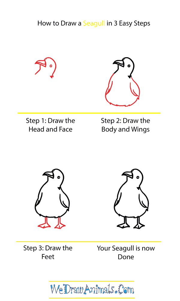 How to Draw a Cute Seagull - Step-by-Step Tutorial