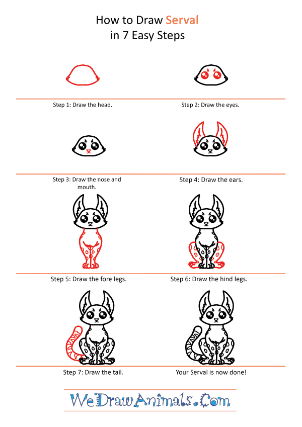 How to Draw a Cute Serval - Step-by-Step Tutorial