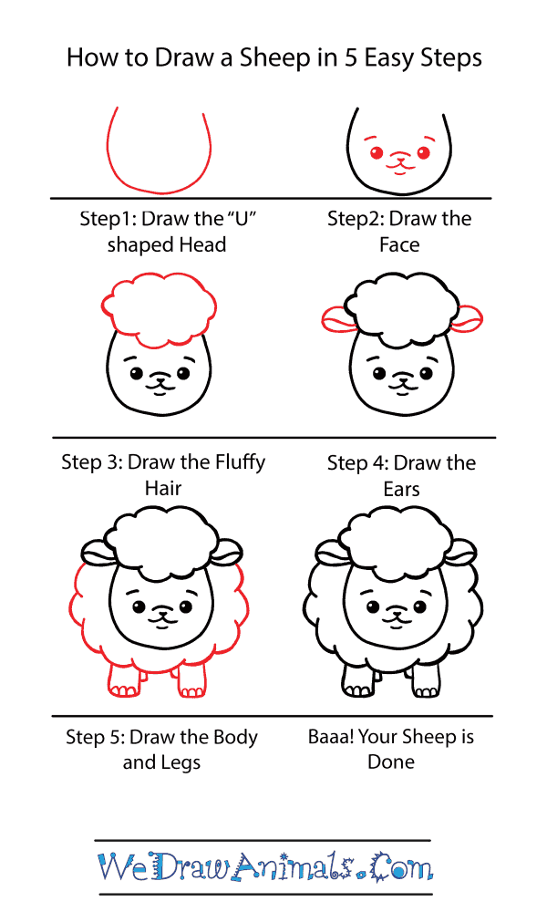 How to Draw a Cute Sheep - Step-by-Step Tutorial