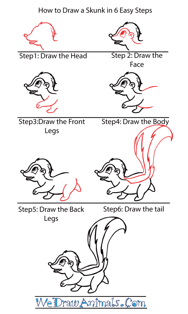 How to Draw a Cute Skunk - Step-by-Step Tutorial
