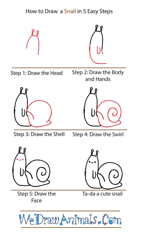 How to Draw a Cute Snail - Step-by-Step Tutorial
