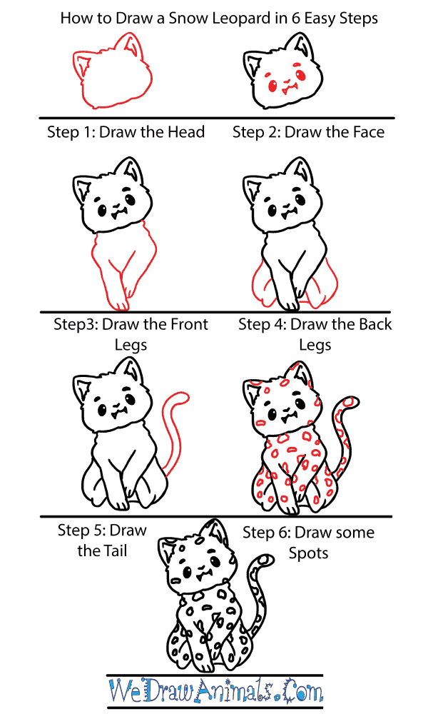 How to Draw a Cute Snow Leopard - Step-by-Step Tutorial