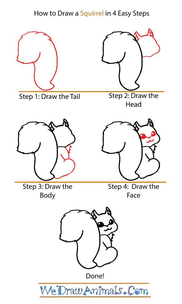 How to Draw a Cute Squirrel - Step-by-Step Tutorial